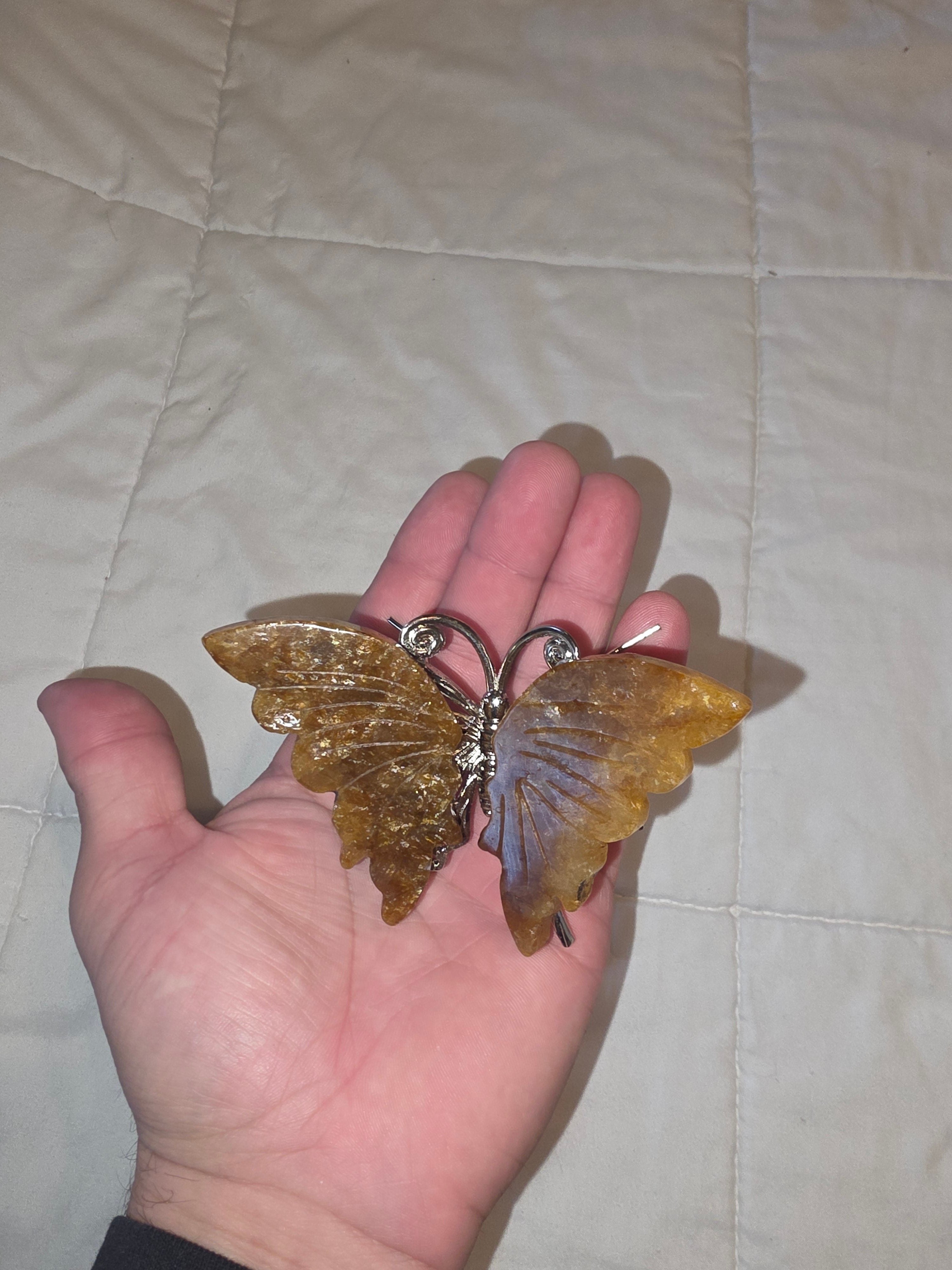 Golden Healer Butterfly