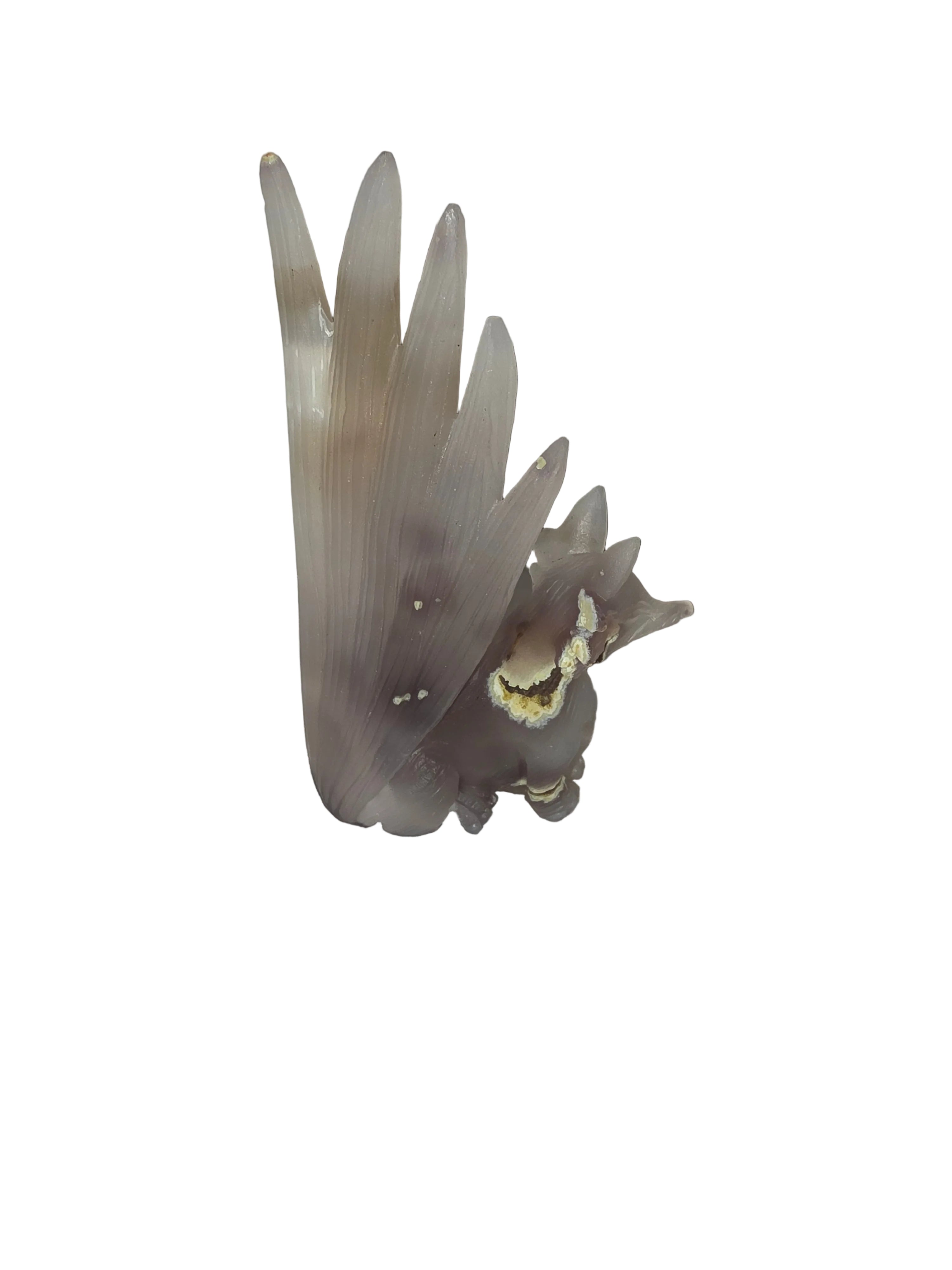 Druzy Agate Nine Tail Fox