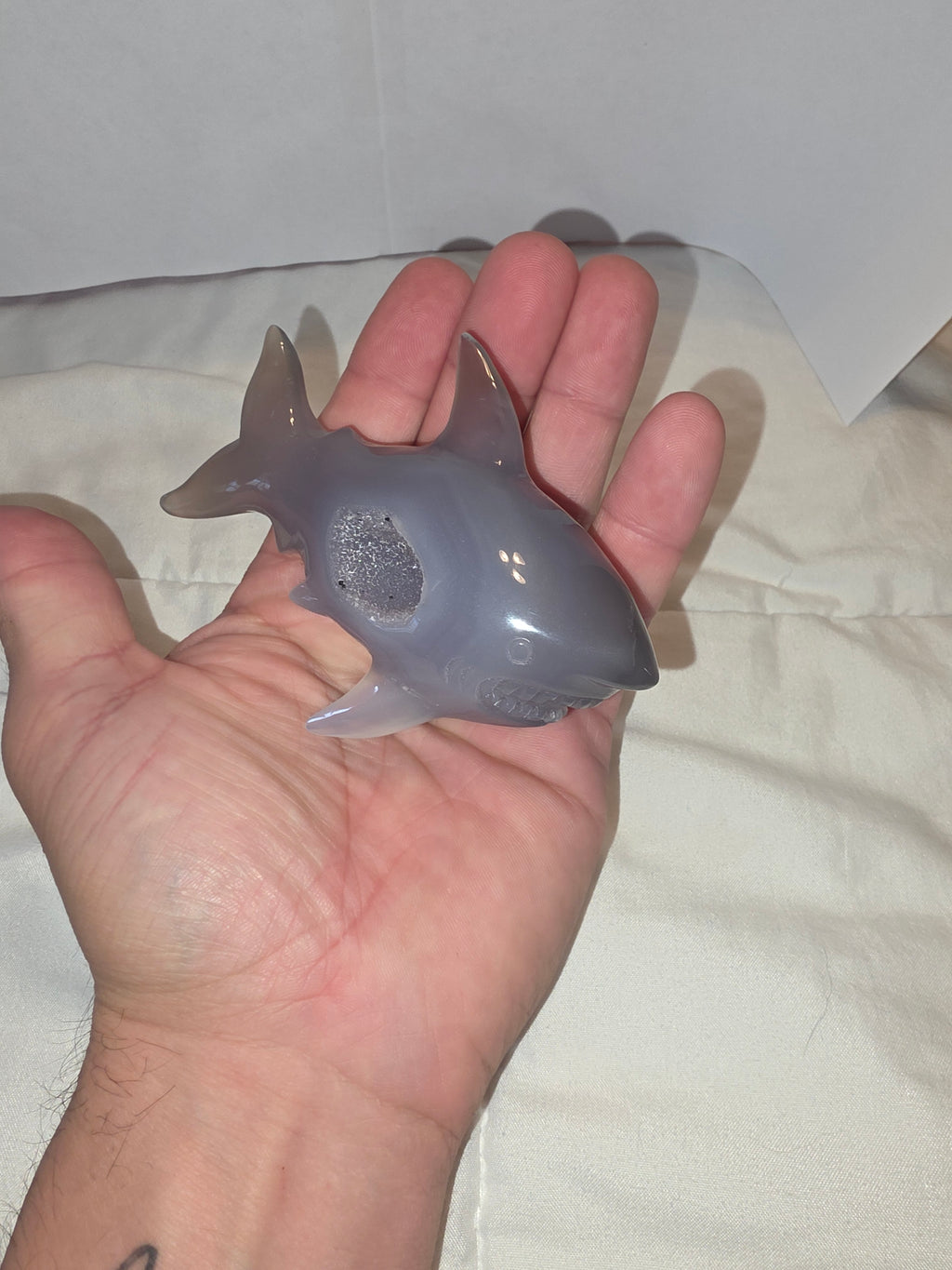 Druzy Agate Shark