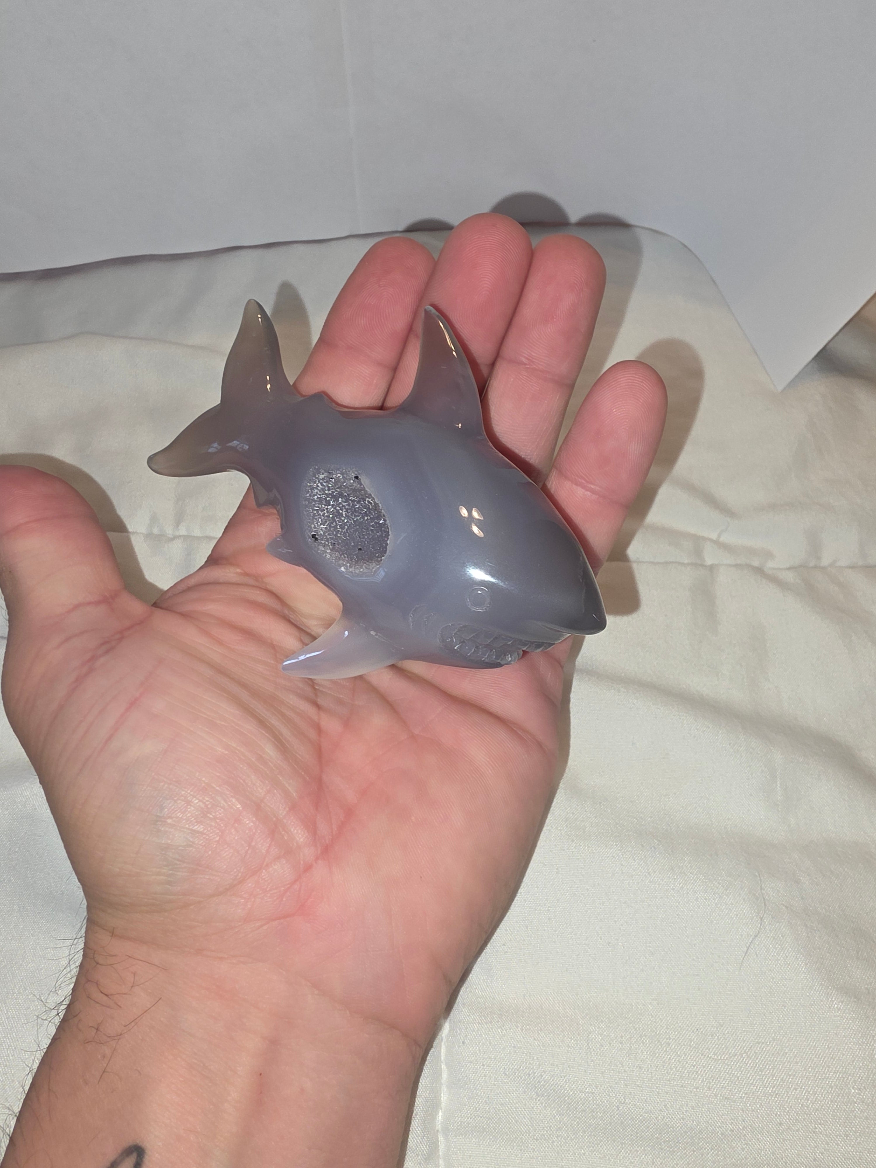 Druzy Agate Shark