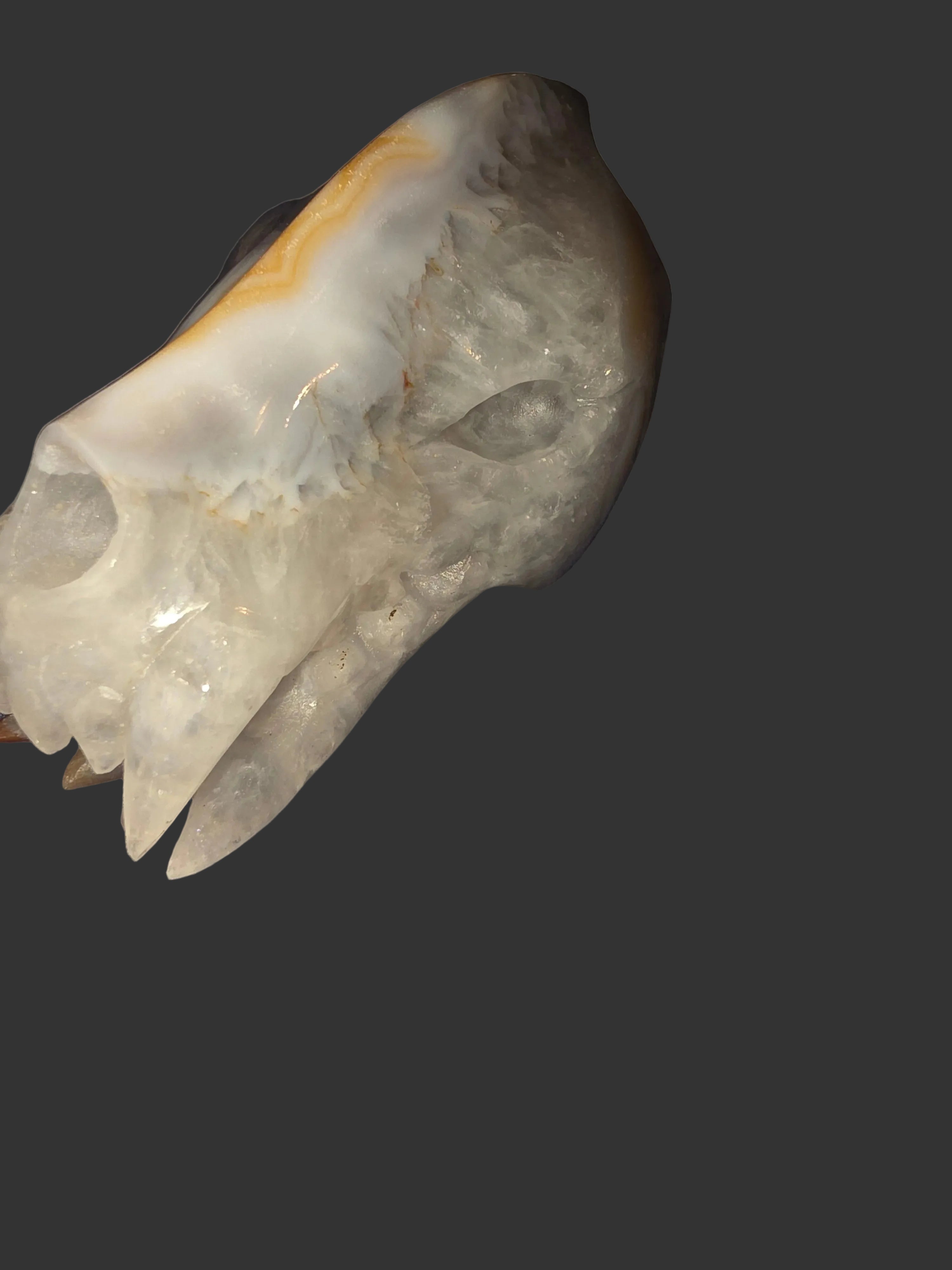 Saber-tooth Tiger Banded Agate Skull