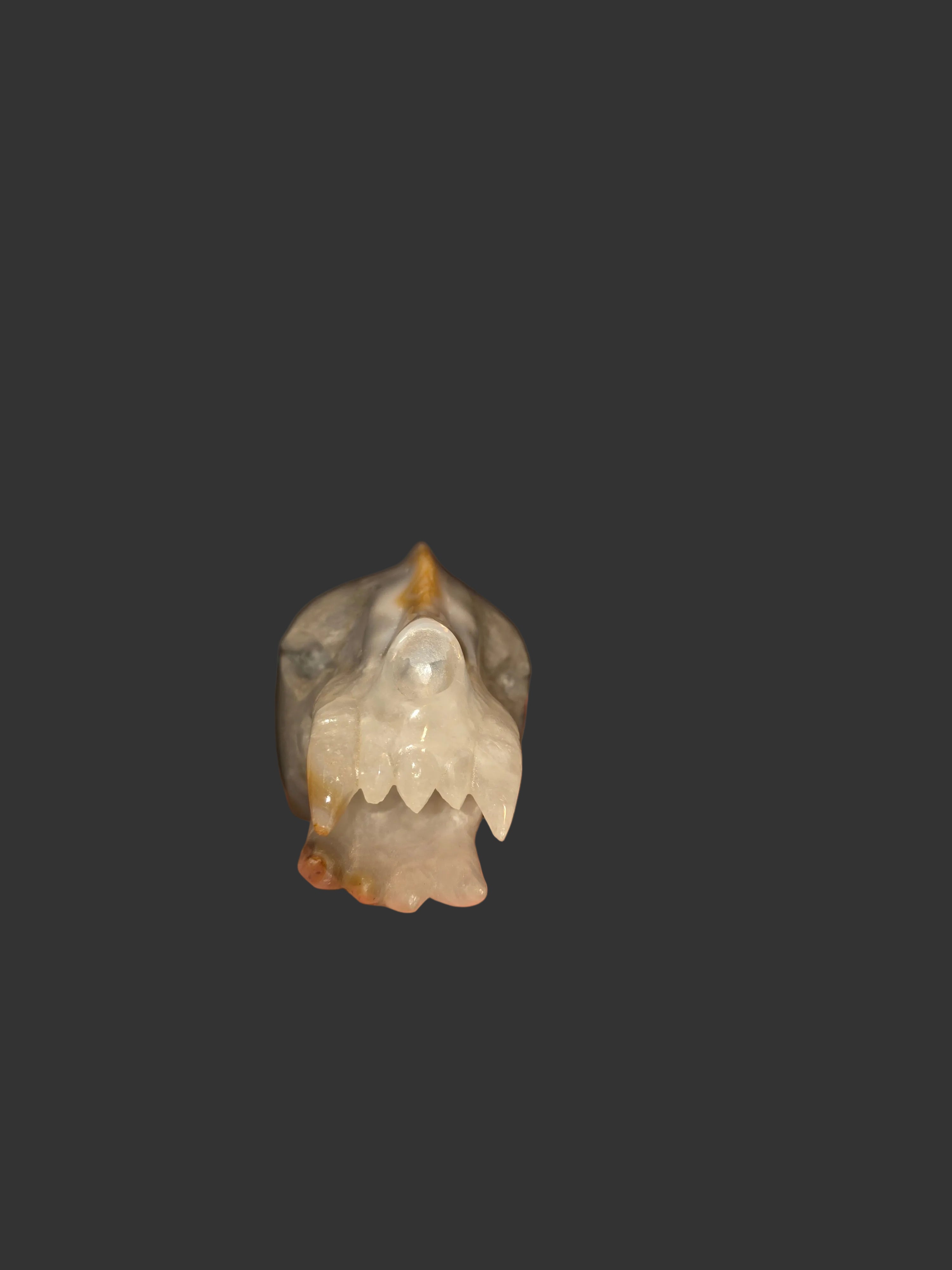Saber-tooth Tiger Banded Agate Skull